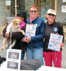 SundayStreetsMission7-13 Sunday Streets in the Mission July 28